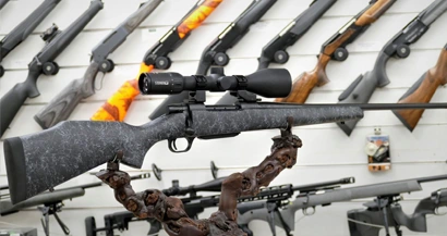 Les carabines de chasse